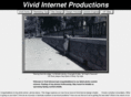 vividinternet.net