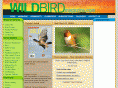 wildbirdmagazine.com