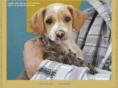 animalhelp.es