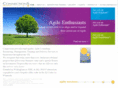 connectionsagile.com
