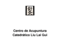 acupunturalaigui.com