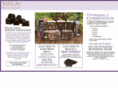 columbushealthychocolate.com