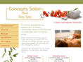 conceptssalon.com
