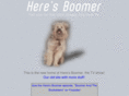 heresboomer.com