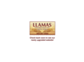 llamasconstruction.com