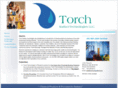 torchsurfacetech.com
