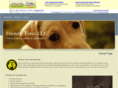 ffk9.net