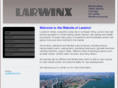 larwinx.biz