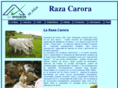 razacarora.com