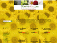 bloomsnow.com