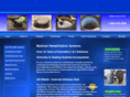 infi-shield.com