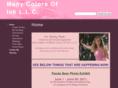 many-colors-of-ink.com