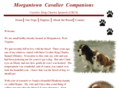 morgantowncavaliercompanions.com