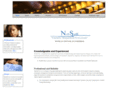 netsoftinc.net