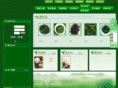 chawang.com
