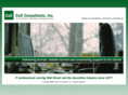 ckconsultants.com