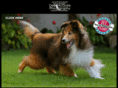 hawaiipetphotos.com