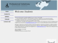 pvaschool.com