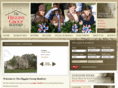 thehigginsgrouprealtors.com