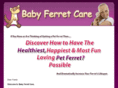 babyferretcare.com
