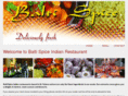 balti-spice.com