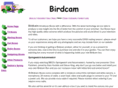 birdcam.co.uk