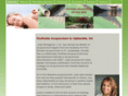 northsideacupuncture.com