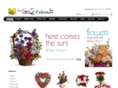 send-gifts-to-pakistan.net