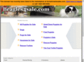 beagles4sale.com