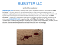 bleustemllc.com