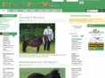shetlandponyweb.com