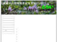 try-mm.com