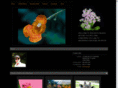wjbphotography.net
