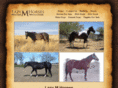 lazymhorses.com