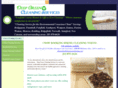 deepgreencleaning.com