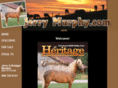 jerrymurphymountainhorses.com