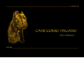 peet-corso.cz