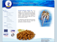 bluefinexport.com