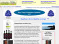 bluetopazsystems.com