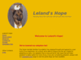 lelandshope.org