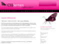 css-lernen.net