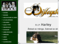 difloyds.com