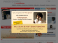 frozenthoughts.com