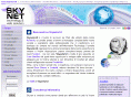 skynetsrl.com