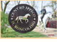 centroippicoilroncolino.com