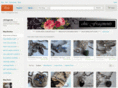 chicfragments.com