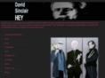 davidsinclairuk.com
