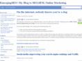 emergingseo.com