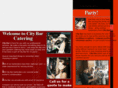 citybarcatering.com