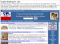 englishbulldogs.net